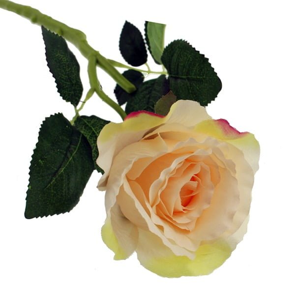 40cm Rose