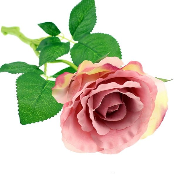 40cm Rose