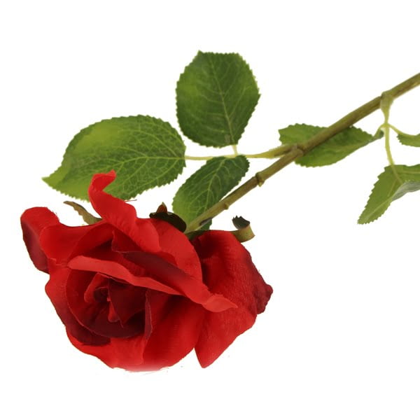 43cm Single Rose