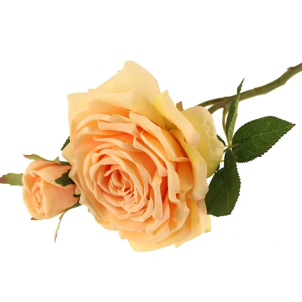36cm Rosa Eden Pick