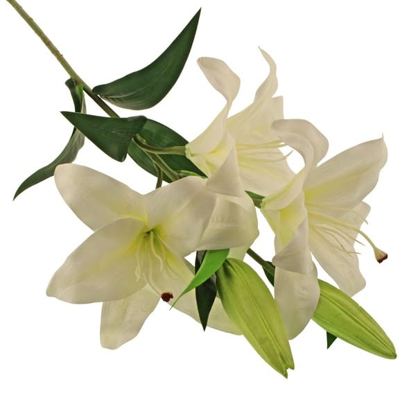 85cm Oriental Lily
