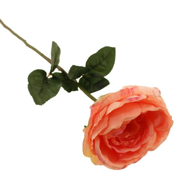 59cm Cabbage Rose