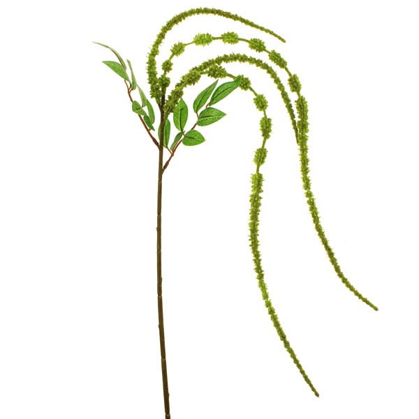 106cm Amaranthus Spray Green