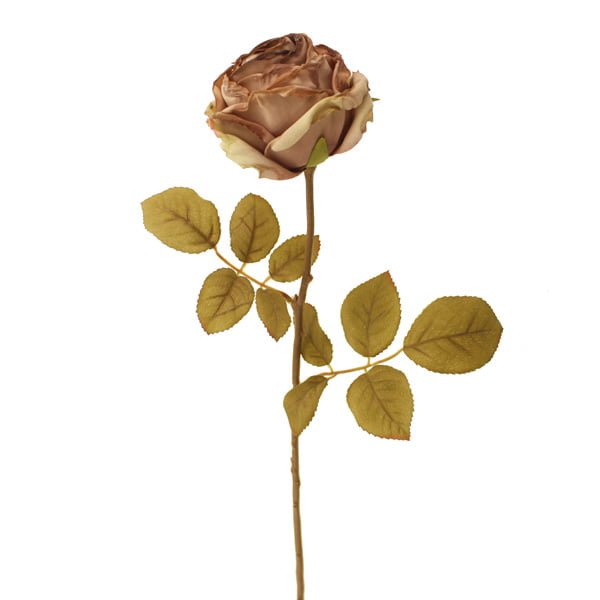 68cm Dried Image Rose Bud Single