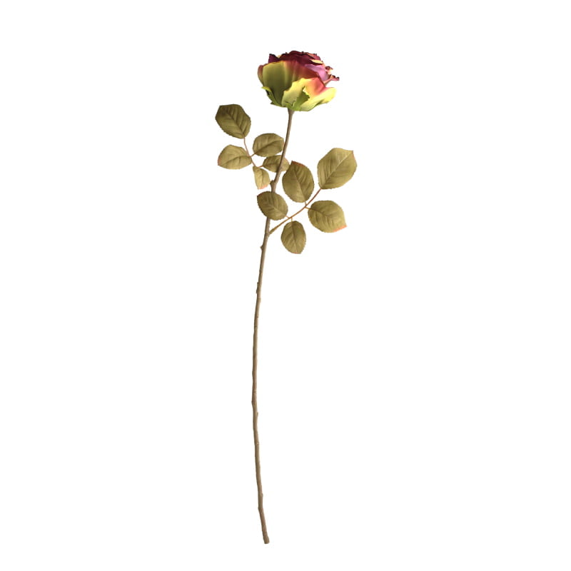 68cm Dried Image Rose Bud Single