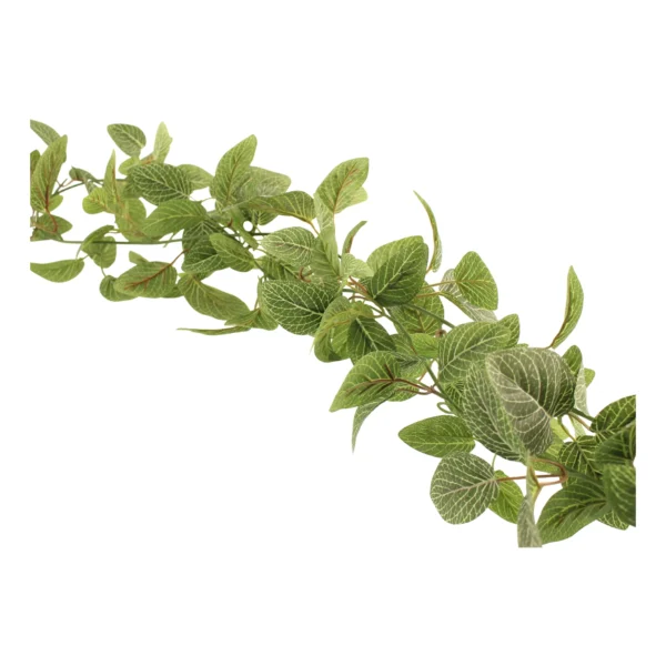 180cm Fittonia Garland