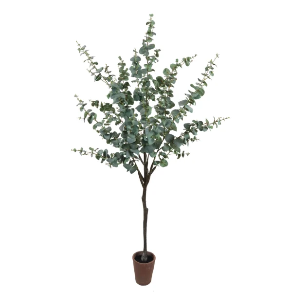 170cm Eucalyptus Tree in terracotta planter