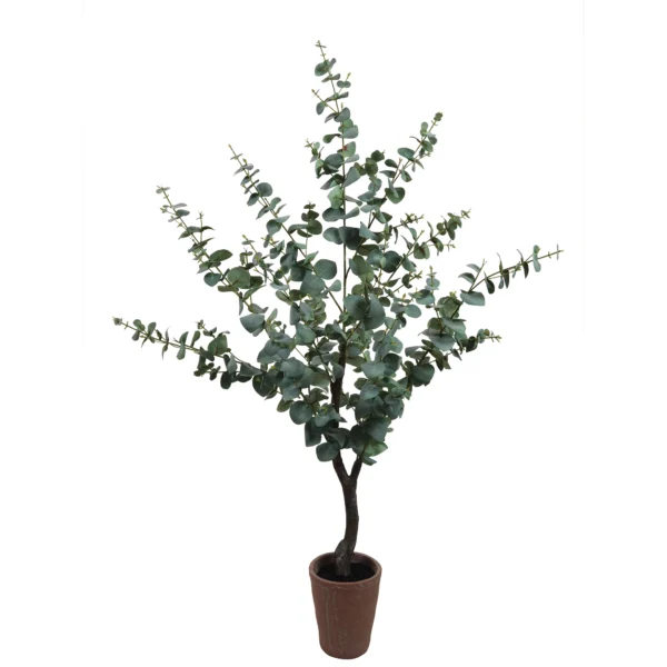 130cm Eucalyptus Tree in terracotta planter