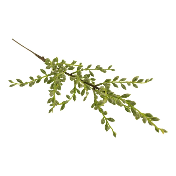 70cm Pokeberry Spray