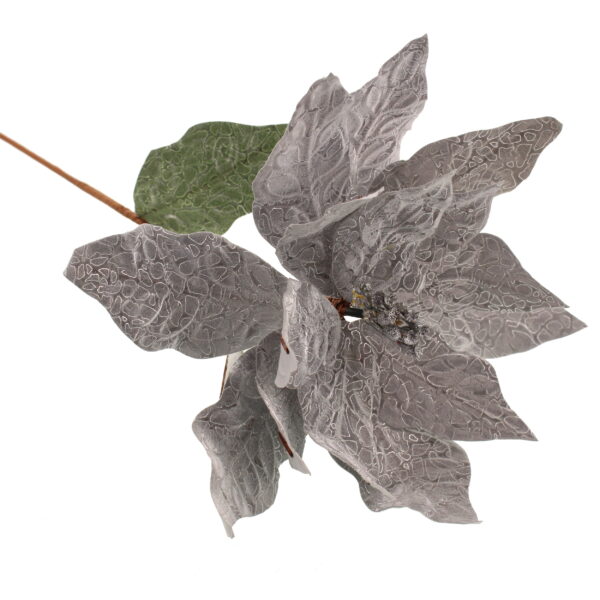 72cm Mottled Poinsettia