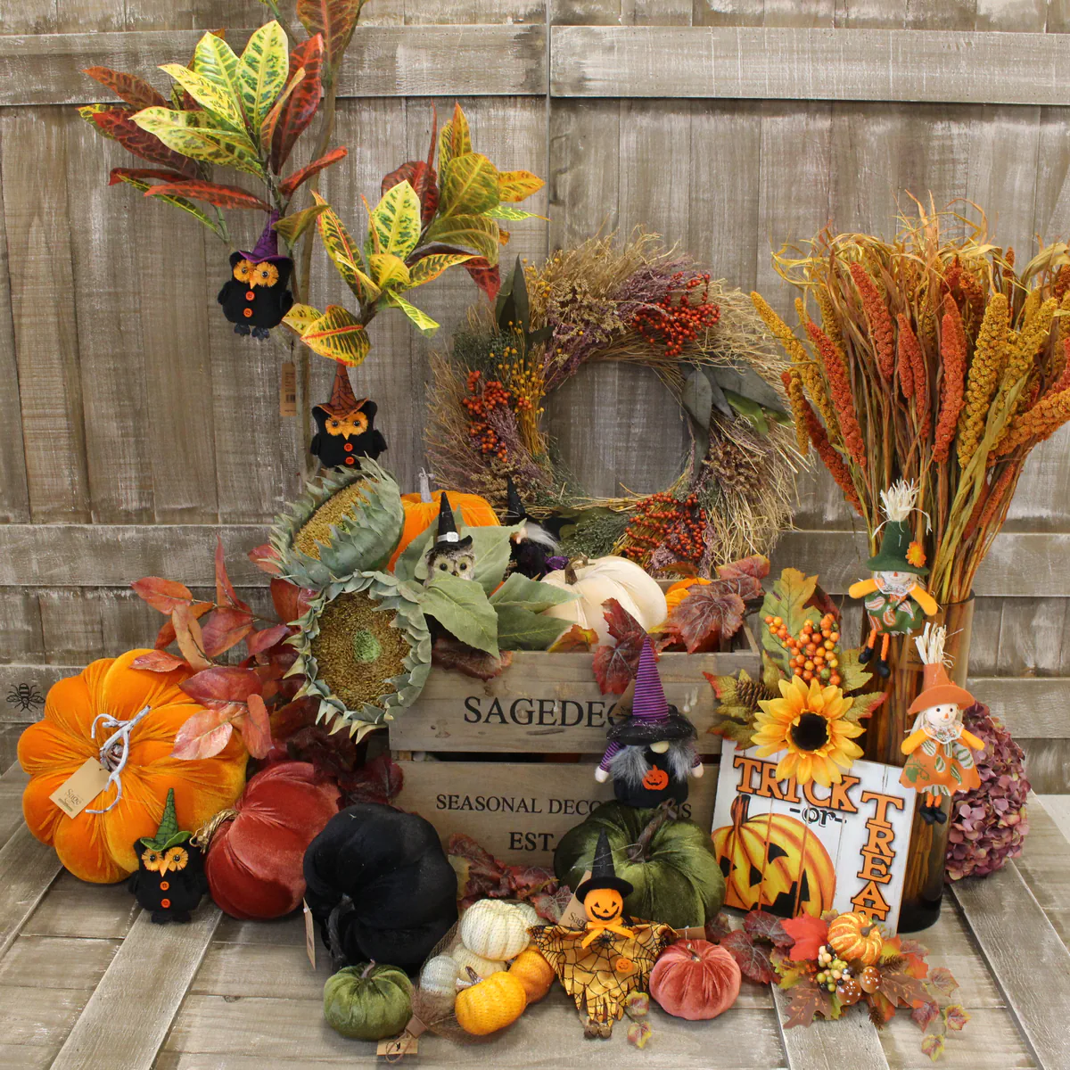 Autumn & Halloween