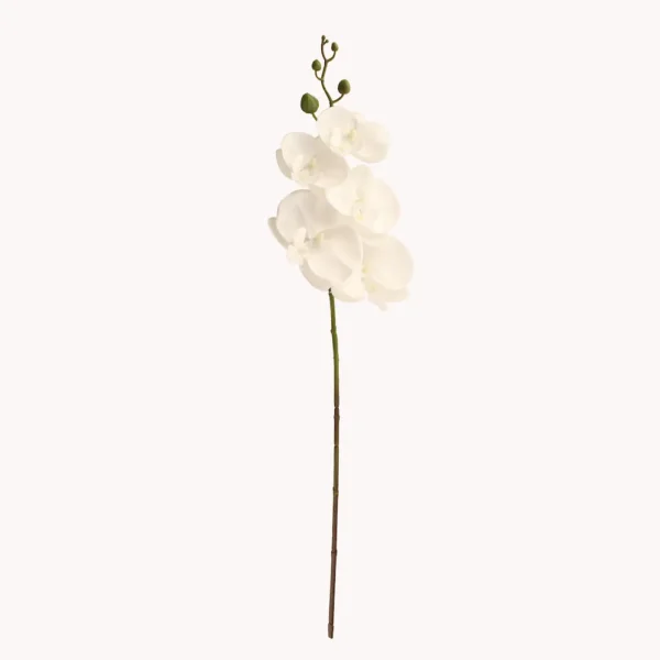 Orchid Stem White 68cm